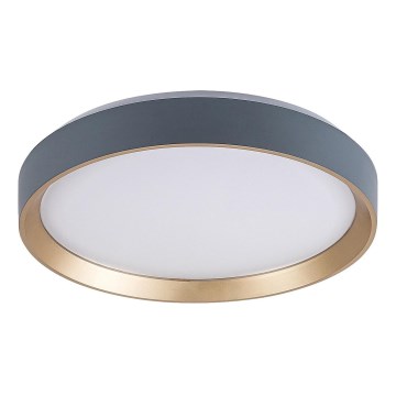 Rabalux - LED taklampa LED/25W/230V 3000K diameter 38 cm
