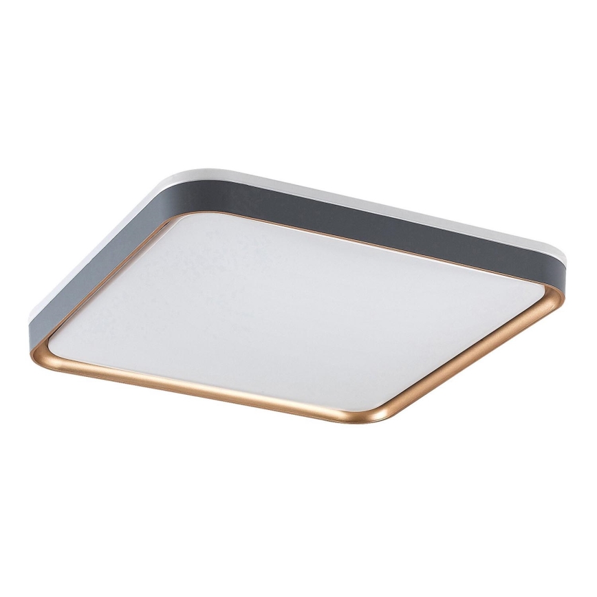 Rabalux - LED taklampa LED/26W/230V 3000K 39,5x39,5 cm