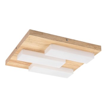 Rabalux - LED taklampa LED/30W/230V 3000K ek