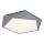 Rabalux - LED taklampa LED/30W/230V 3000K