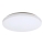 Rabalux - LED taklampa LED/32W/230V
