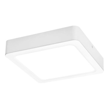 Rabalux - LED taklampa LED/7W/230V 4000K 12x12 cm vit