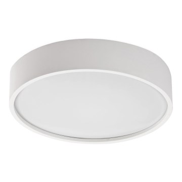 Rabalux - LED taklampa med sensor LED/19W/230V IP44 4000K diameter 28,5 cm vit