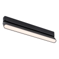 Rabalux - LED Takljus för 1-fas skenssystem LED/16W/230V 3000K 33 cm svart