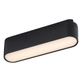 Rabalux - LED Takljus för 1-fas skenssystem LED/6W/230V 3000K 11,5 cm svart