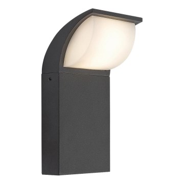 Rabalux - LED vägglampa för utomhusbruk LED/9W/230V IP65