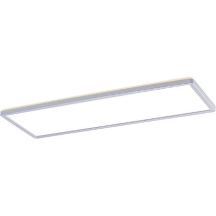 Rabalux - LED Ytmonterad panel LED/22W/230V