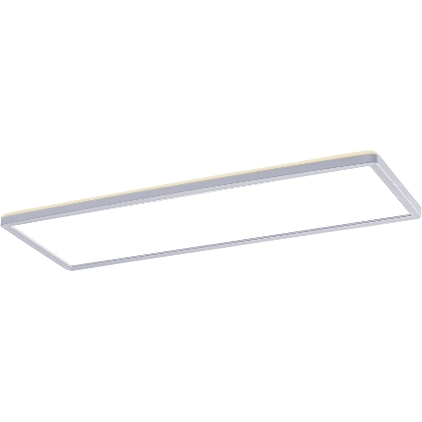 Rabalux - LED Ytmonterad panel LED/22W/230V