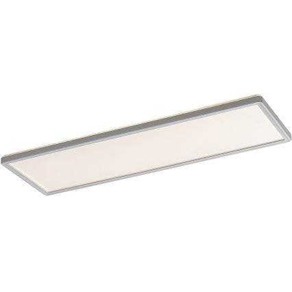 Rabalux - LED Ytmonterad panel LED/22W/230V