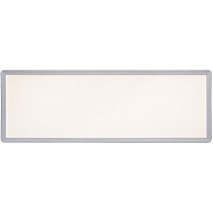 Rabalux - LED Ytmonterad panel LED/22W/230V