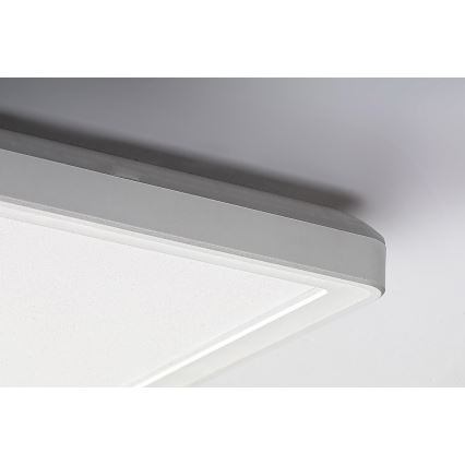Rabalux - LED Ytmonterad panel LED/22W/230V