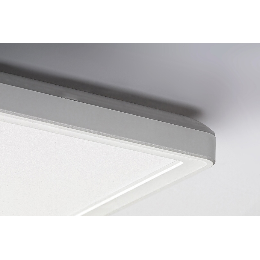 Rabalux - LED Ytmonterad panel LED/22W/230V