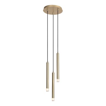 Rabalux - Ljuskrona med textilsladd 3xG9/5W/230V guld