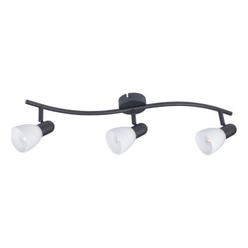 Rabalux - Spotlampa 3x E14/40W/230V