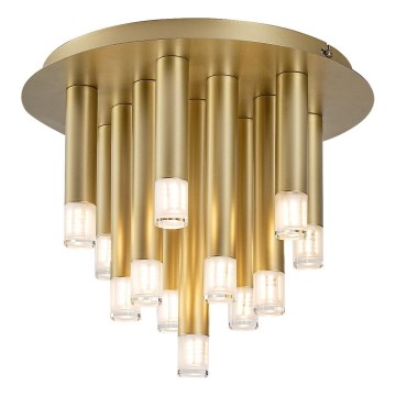 Rabalux - Taklampa 13xG9/5W/230V guld