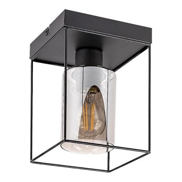 Rabalux - Taklampa 1xE27/25W/230V