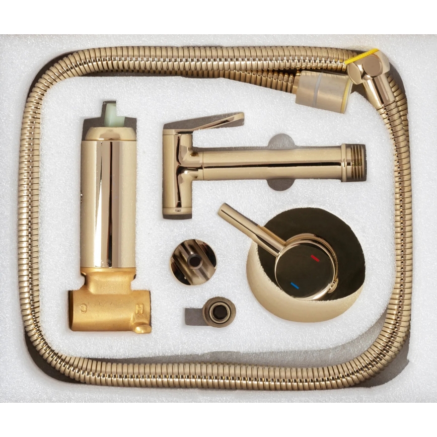 REA-B8979 - Bidetblandare med handdusch för inbyggnad LUNGO, guld