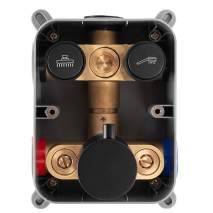 REA-P8551 - Duschset med termostatisk inbyggd blandare LUNGO i borstat guld