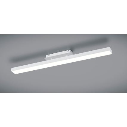 Reality - LED Dimbar Takbelysning AGANO LED/18W/230V vit