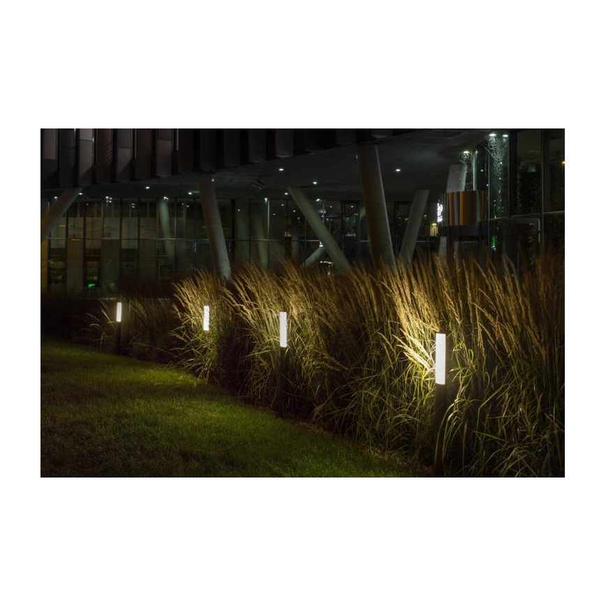 RED - Design Rendl - R10548 - Utomhus LED lampa  VADIS LED/8W/230V IP54
