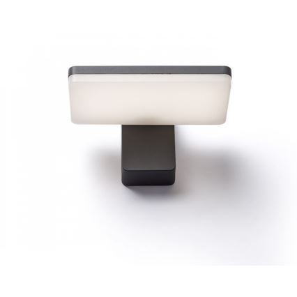 RED - Design Rendl - R11947- Utomhus LED vägglampa  RINA LED/12W/230V IP65