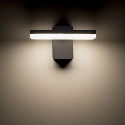 RED - Design Rendl - R11947- Utomhus LED vägglampa  RINA LED/12W/230V IP65