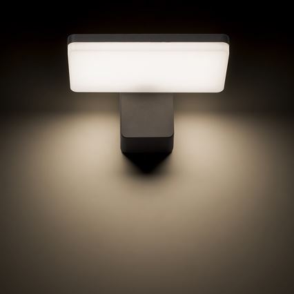 RED - Design Rendl - R11947- Utomhus LED vägglampa  RINA LED/12W/230V IP65