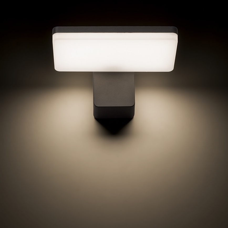 RED - Design Rendl - R11947- Utomhus LED vägglampa  RINA LED/12W/230V IP65