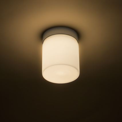 RED - Design Rendl - R12199 -  LED badrumstakbelysning  ESICA LED/6W/230V IP44