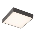 RED - Design Rendl - R12851 - LED taklampa LARISA LED/30W/230V svart 