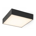 RED - Design Rendl - R13488 - LED taklampa LARISA LED/20W/230V vit 
