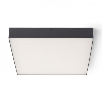 RED - Design Rendl - R13490 - LED taklampa LARISA LED/50W/230V svart 