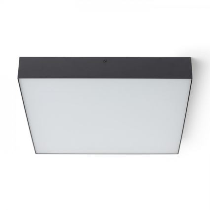 RED - Design Rendl - R13490 - LED taklampa LARISA LED/50W/230V svart 