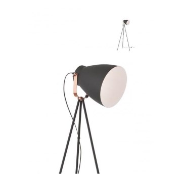 Redo 01-1276 - Golv lampa ARNE 1xE27/42W/230V svart