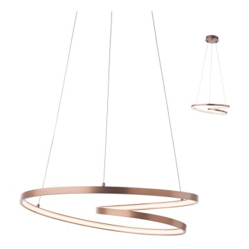 redo 01-1378 - LED Ljuskrona med snöre AVENIR 1xLED/30W/230V