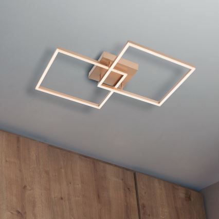 Redo 01-1643 - Dimmbar LED-takarmatur KLEE LED/57W/230V guld