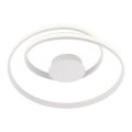 redo 01-1791 - LED Dimbar Takbelysning TORSION 1xLED/30W/230V
