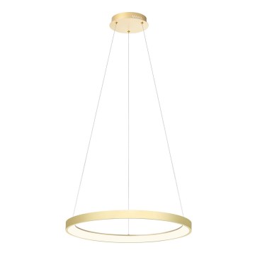 Redo 01-2673 - LED ljusreglerad ljuskrona på textilsladd ICONIC LED/50W/230V diameter 58 cm guld