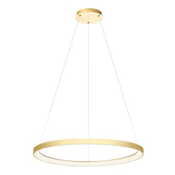 Redo 01-2676 - LED ljusreglerad ljuskrona på textilsladd ICONIC LED/60W/230V diameter 78 cm guld