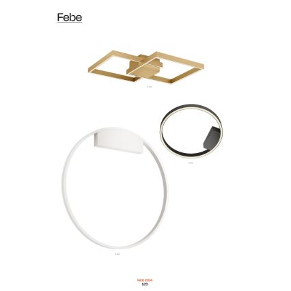 Redo 01-2837 - LED ljusreglerad vägglampa FEBE LED/24W/230V svart