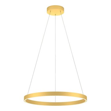 Redo 01-2865 - LED ljusreglerad ljuskrona på textilsladd FEBE LED/37W/230V guld
