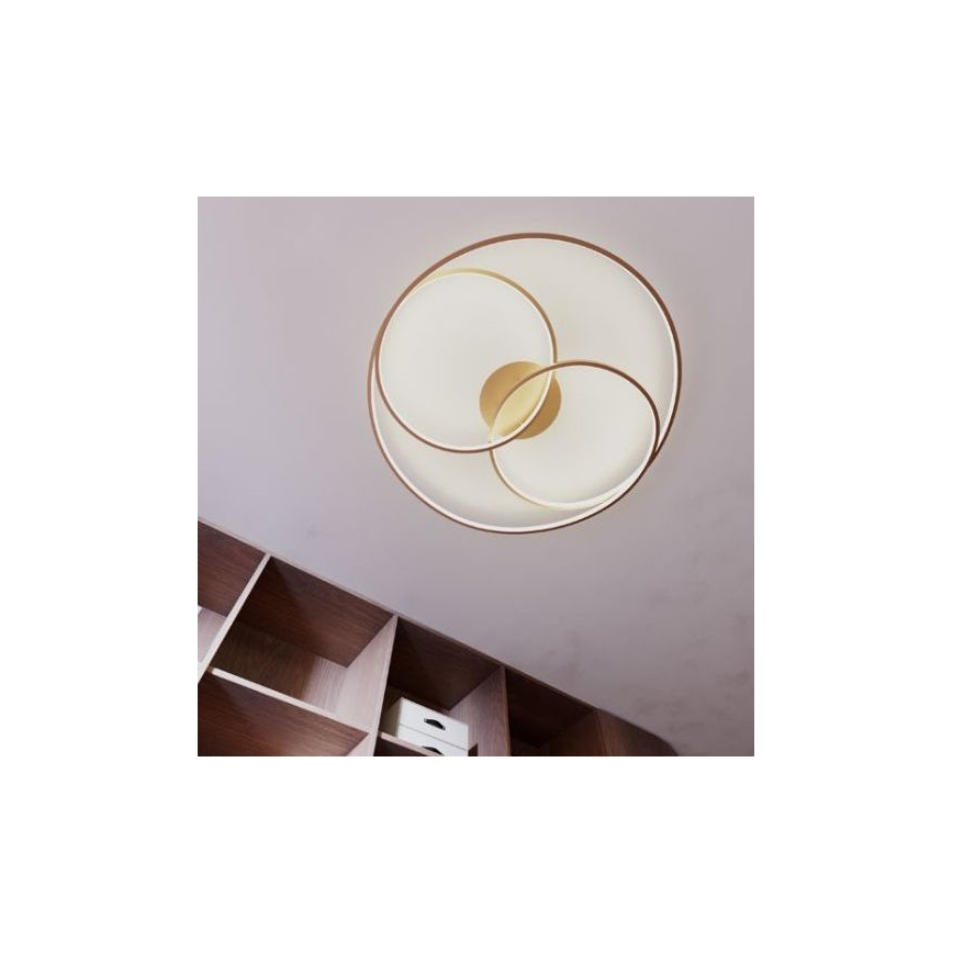 Redo 01-2973 - LED taklampa CENTRIX LED/92W/230V brons