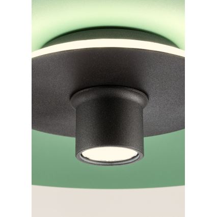 Redo 01-3019 - LED-pendellampa på vajer LARS LED/14W/230V + LED/10W Ø 60 cm CRI 90 grön