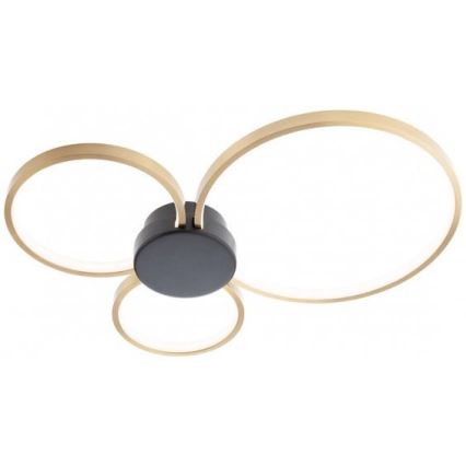 Redo 01-3105 - LED taklampa ATOM LED/20W/230V