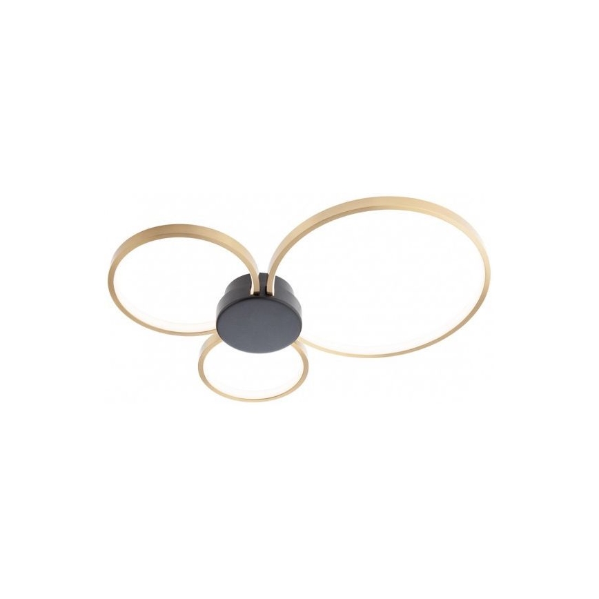Redo 01-3105 - LED taklampa ATOM LED/20W/230V