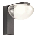 Redo 01-3242 - LED Vägglampa SINCLAIR LED/6,5W/230V CRI 93 IP21 svart