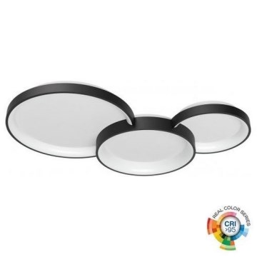 Redo 01-3375 - LED Dimbar taklampa COMBI LED/72W/230V 3000/4000/6000K CRI98 svart