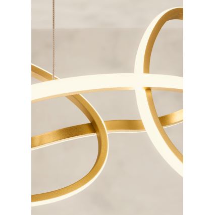 Redo 01-3392 - Dimmbar LED-pendellampa på kabel BIAS LED/120W/230V 3000/4500/6500K CRI 90 guld