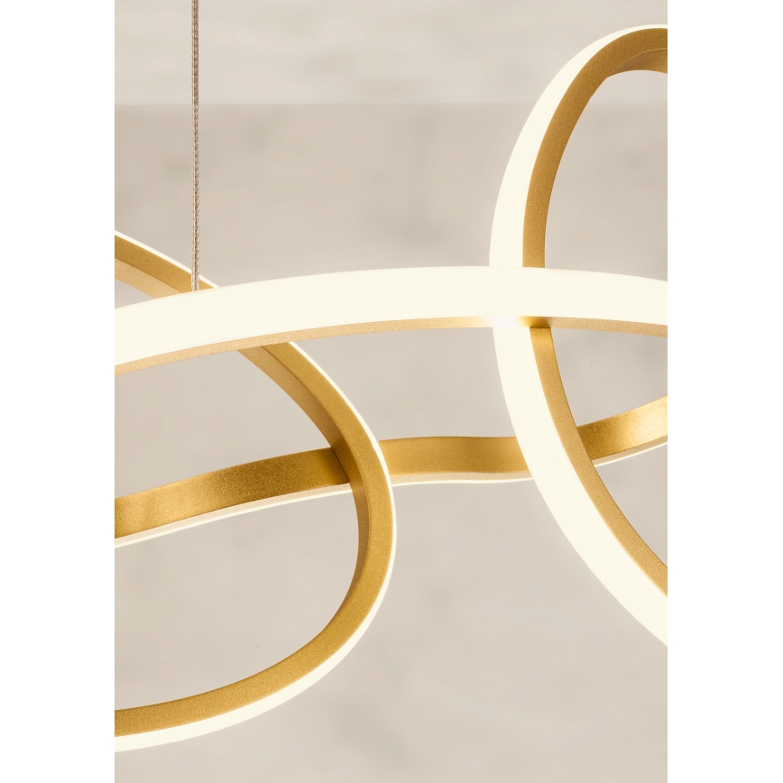 Redo 01-3392 - Dimmbar LED-pendellampa på kabel BIAS LED/120W/230V 3000/4500/6500K CRI 90 guld