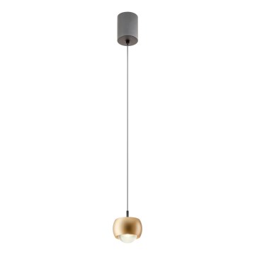 Redo 01-3547 - LED ljuskrona med textilsladd AVES LED/12W/230V diameter 9,6 cm CRI 90 guld